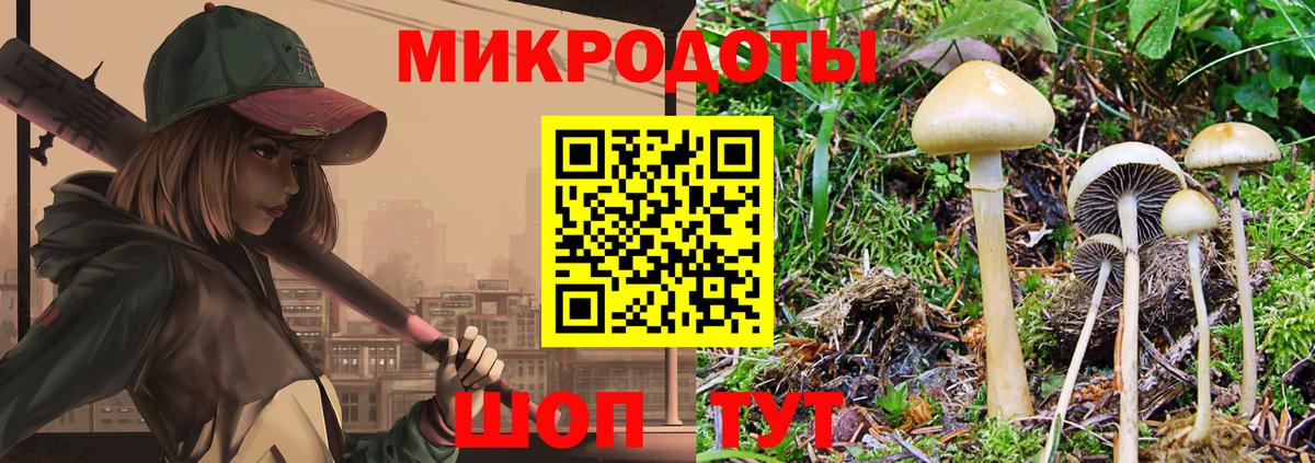 Псилоцибиновые грибы прущие грибы  Галлюциногенные грибы Psilocybine cubensis  Мичуринск  Вход с VPN 