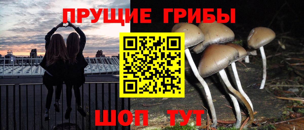 Галлюциногенные грибы мухоморы Мичуринск